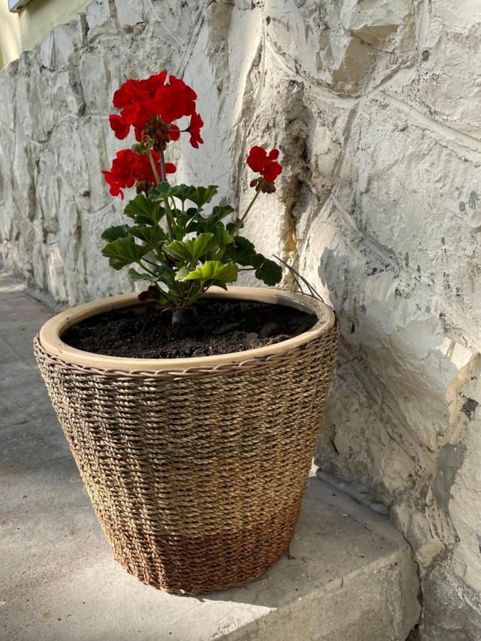 Boni Apartman Miskolc Luaran gambar